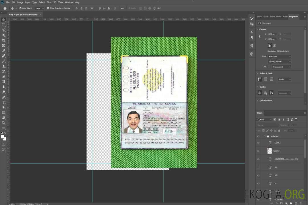 Photo d'identité des Fidji template Photo d'identité des Fidji template